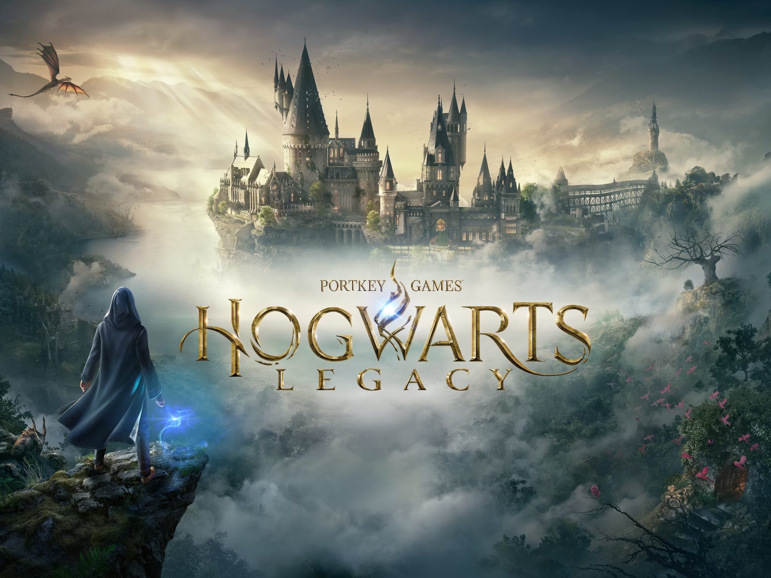 Hogwarts legacy deluxe edition предзаказ фото 106